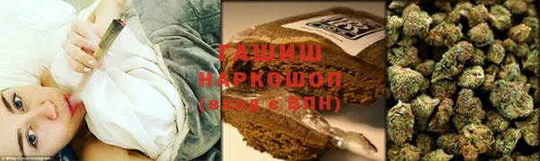 стаф Алзамай