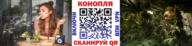 купить   Кудымкар  Конопля Amnesia 